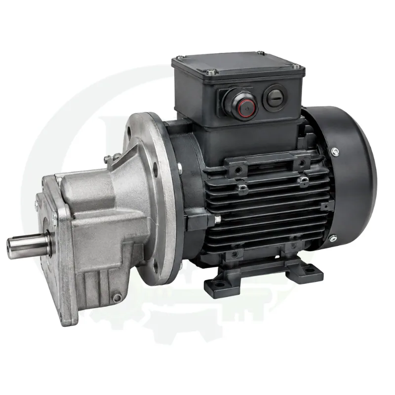 BT-45080 0,55 Kw Redüktörlü Yem Motoru – Biçen Kümes Ekipmanları